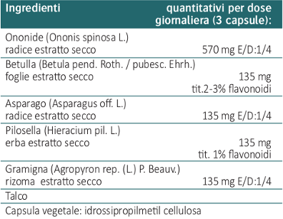 Ingredienti